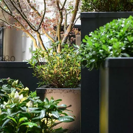 Petit Confidentiel 호텔