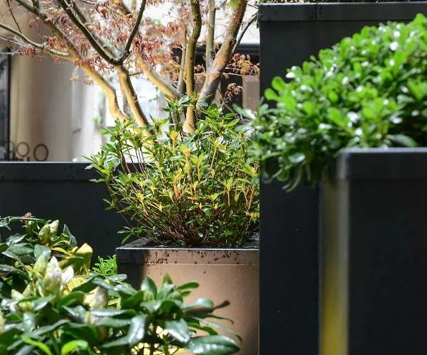 Petit Confidentiel Hotel